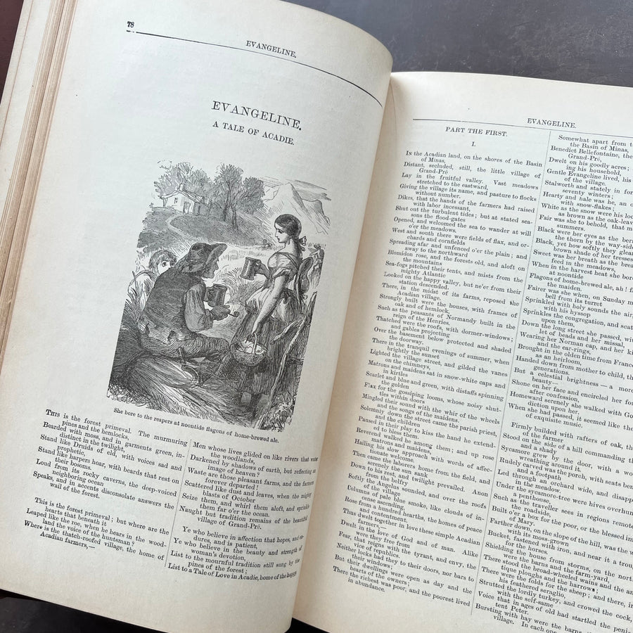 1887 - The Poetical Works of Henry Wadsworth Longfellow