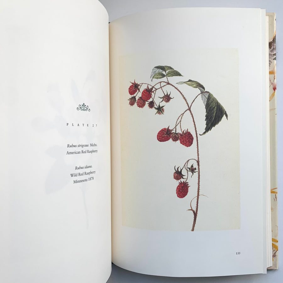 1992 - A Painted Herbarium, The Life and Art of Emily Hitchcock Terry(1838-1921)