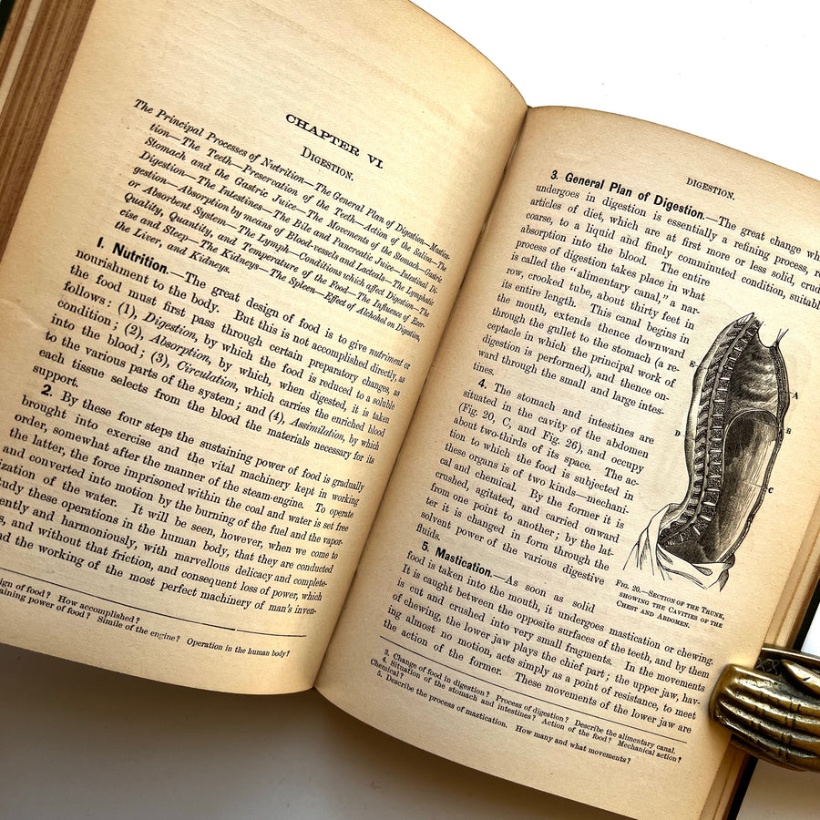 1884 - A Treatise on Physiology and Hygiene For Educational Institutions and General Readers