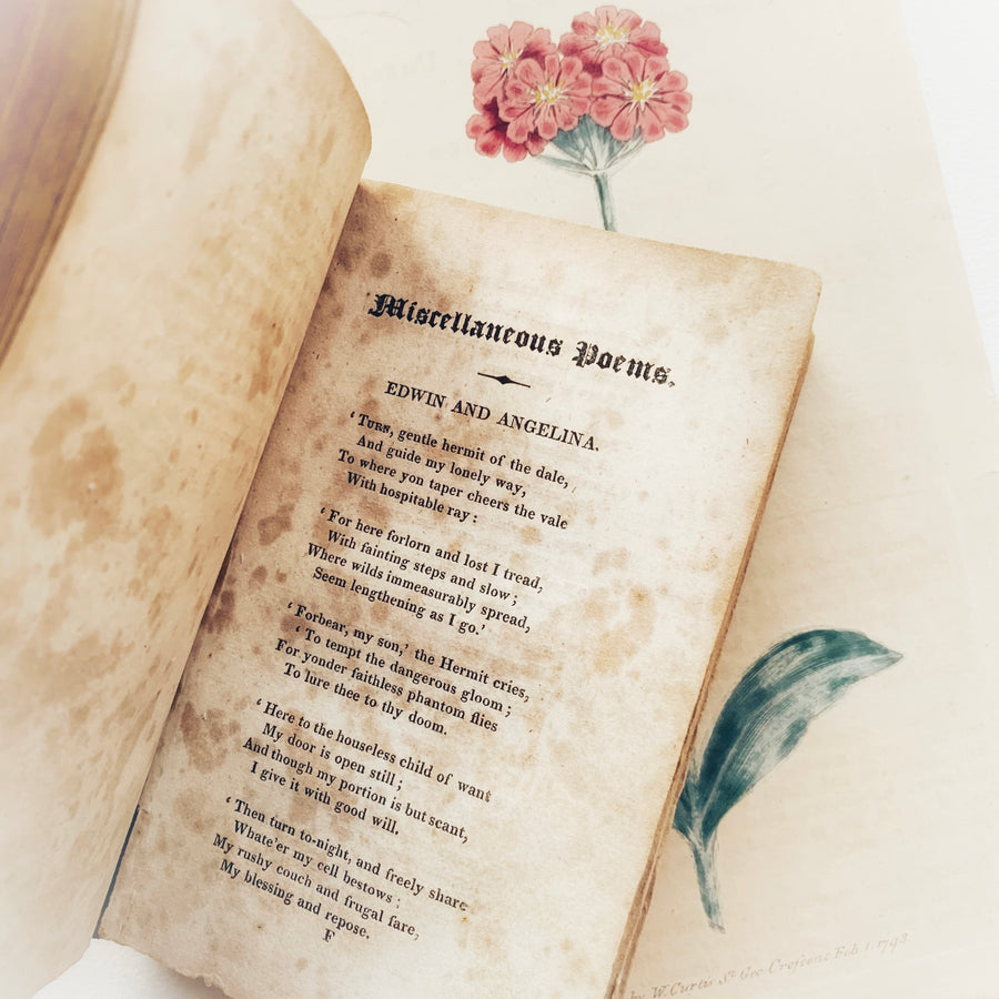 1824 - Poems & Essays By Oliver Goldsmith