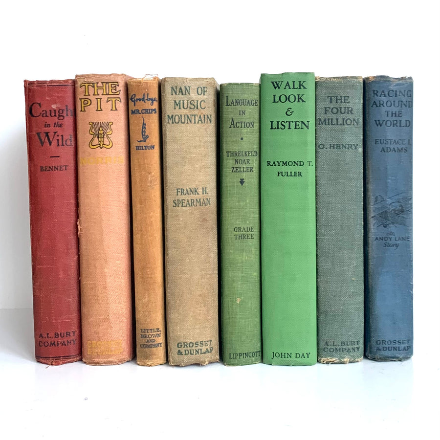 Rainbow Vintage Novels, Farmhouse Decor