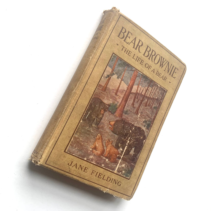 1913 - Bear Brownie, The Life of a Bear