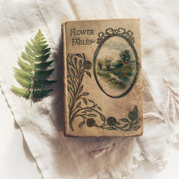 1902 - Flower Fables