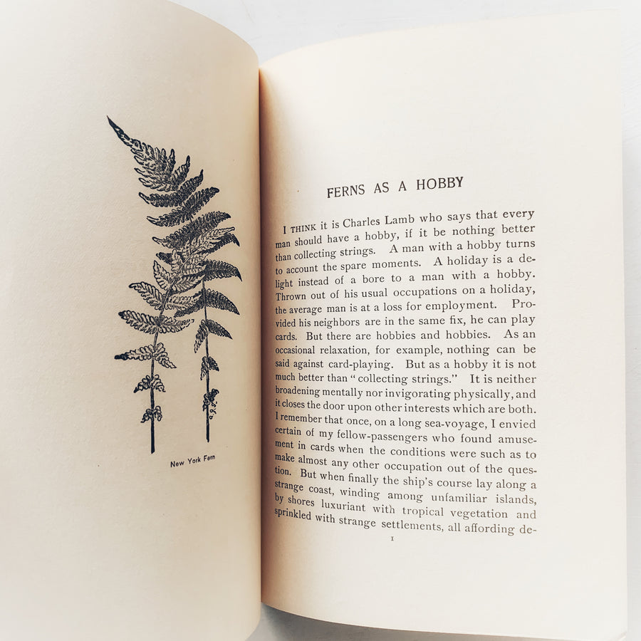 1929 - How To Know The Ferns