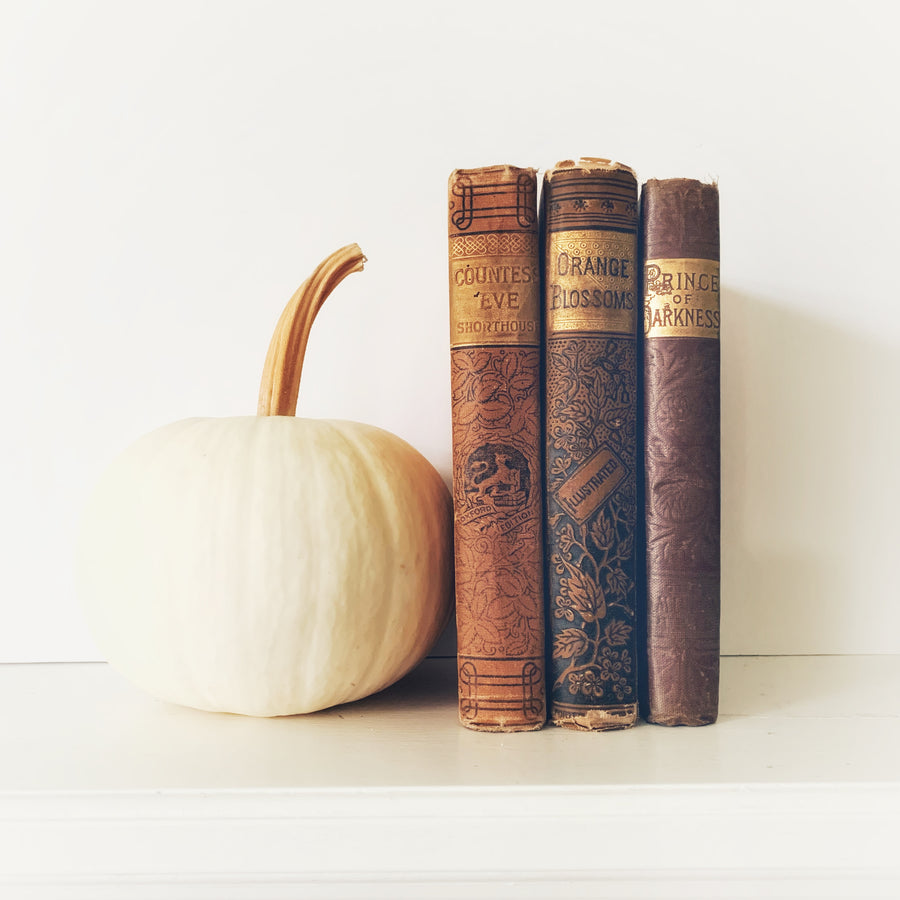 Fall Decorative Antique Book Set