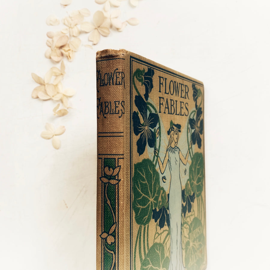 1898 - Flower Fables