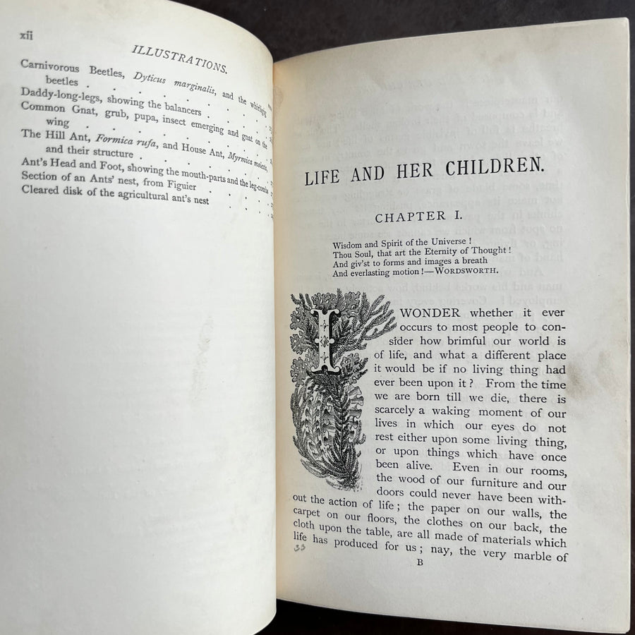 1897 - Life and Her Children; Glimpses of Animal Life From the Amoeba to the Insects
