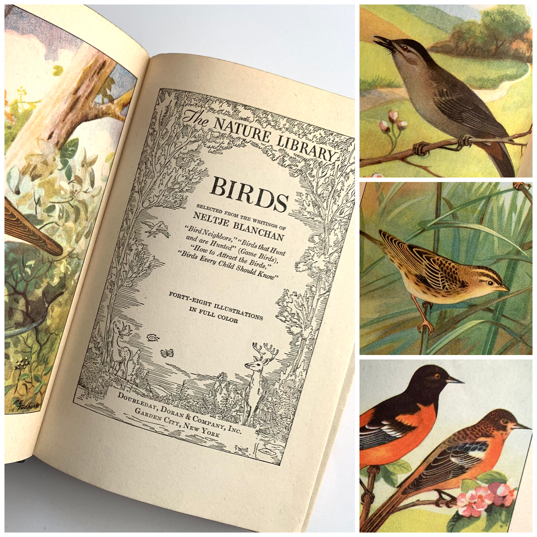 1926 - The Nature Library; Birds, Wild Flowers, Animals