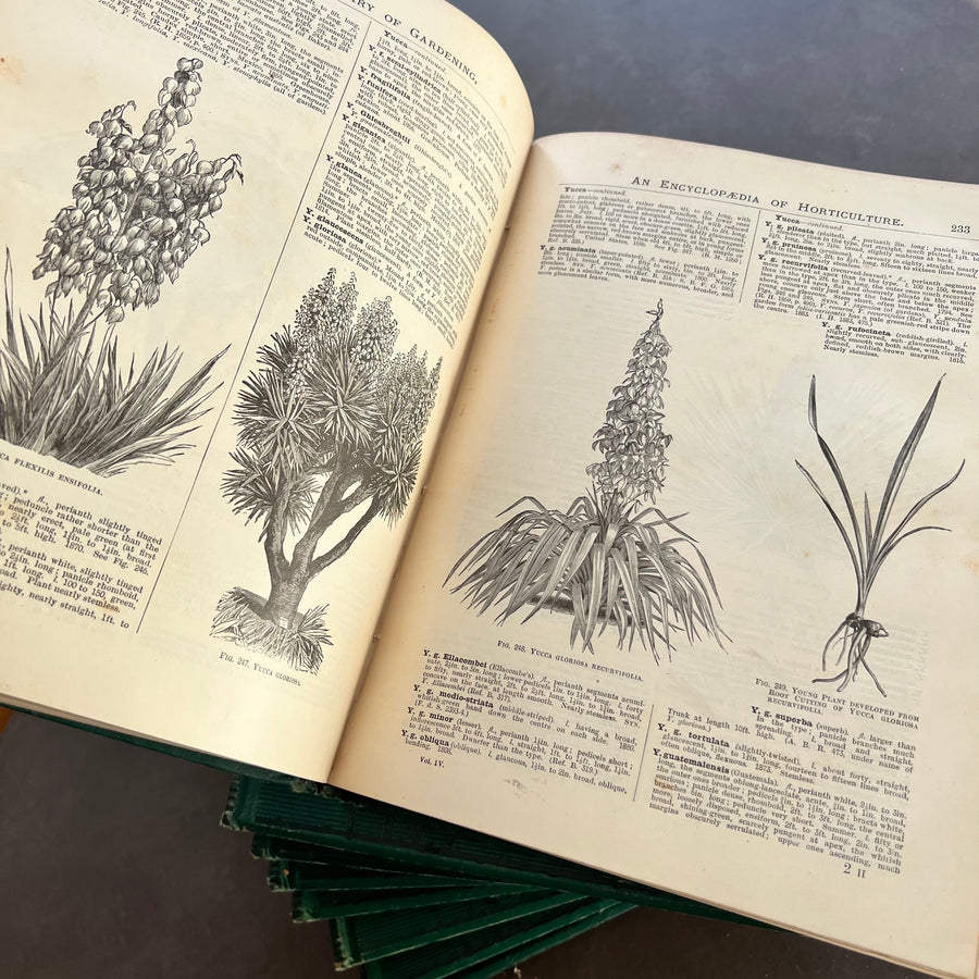 1889 - The Illustrated Dictionary of Gardening, A Practical and Scientific Encyclopaedia of Horticulture for Gardeners and Botanists