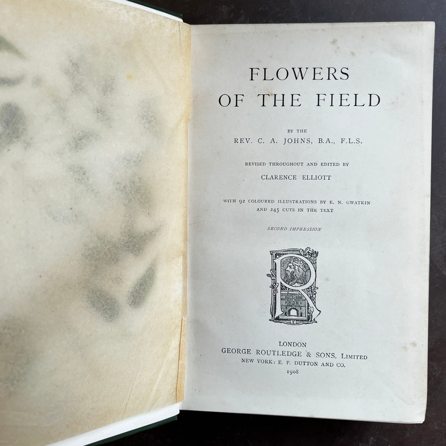 1908 - Flowers of the Field