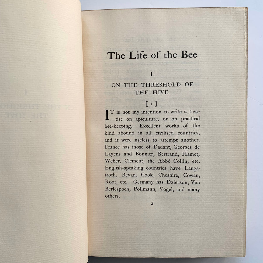 1904 - The Life of the Bee