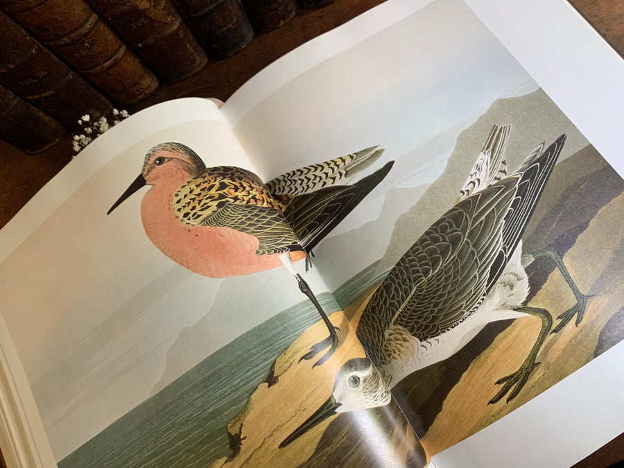 1981 - Easton Press - The Audubon Society Baby Elephant Folio Audubon’s Birds of America