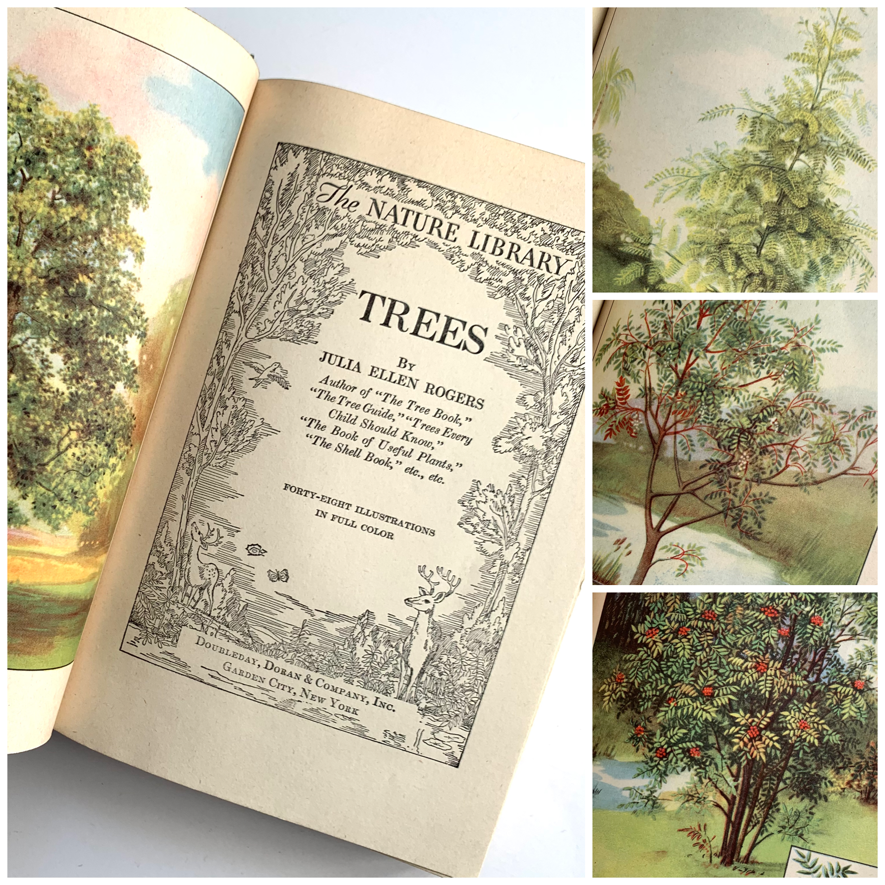 1926 - The Nature Library; Birds, Wild Flowers, Animals