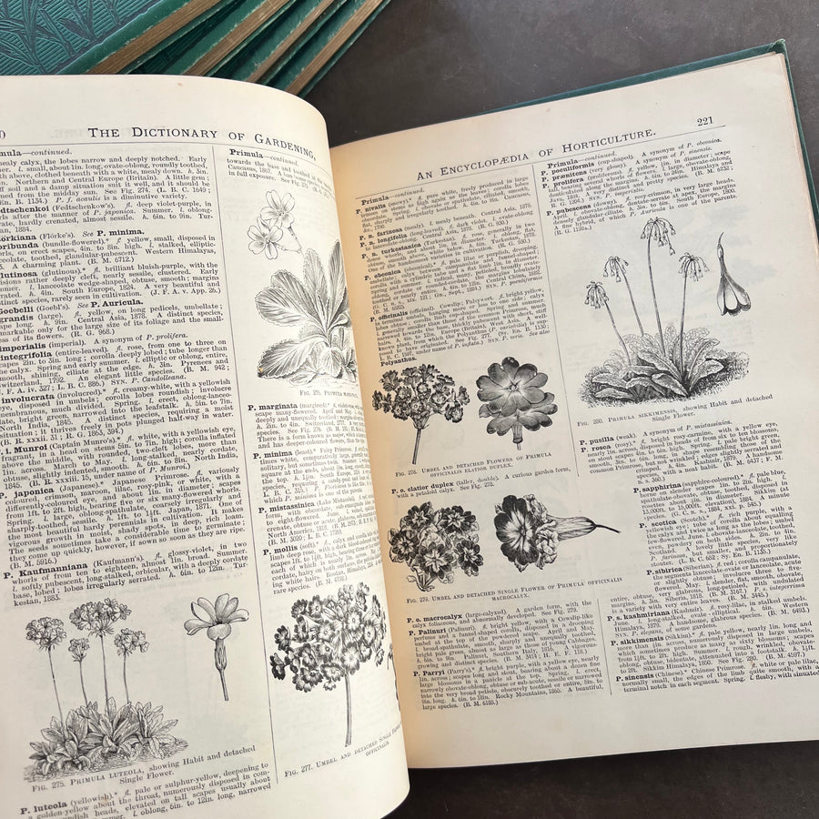 1889 - The Illustrated Dictionary of Gardening, A Practical and Scientific Encyclopaedia of Horticulture for Gardeners and Botanists