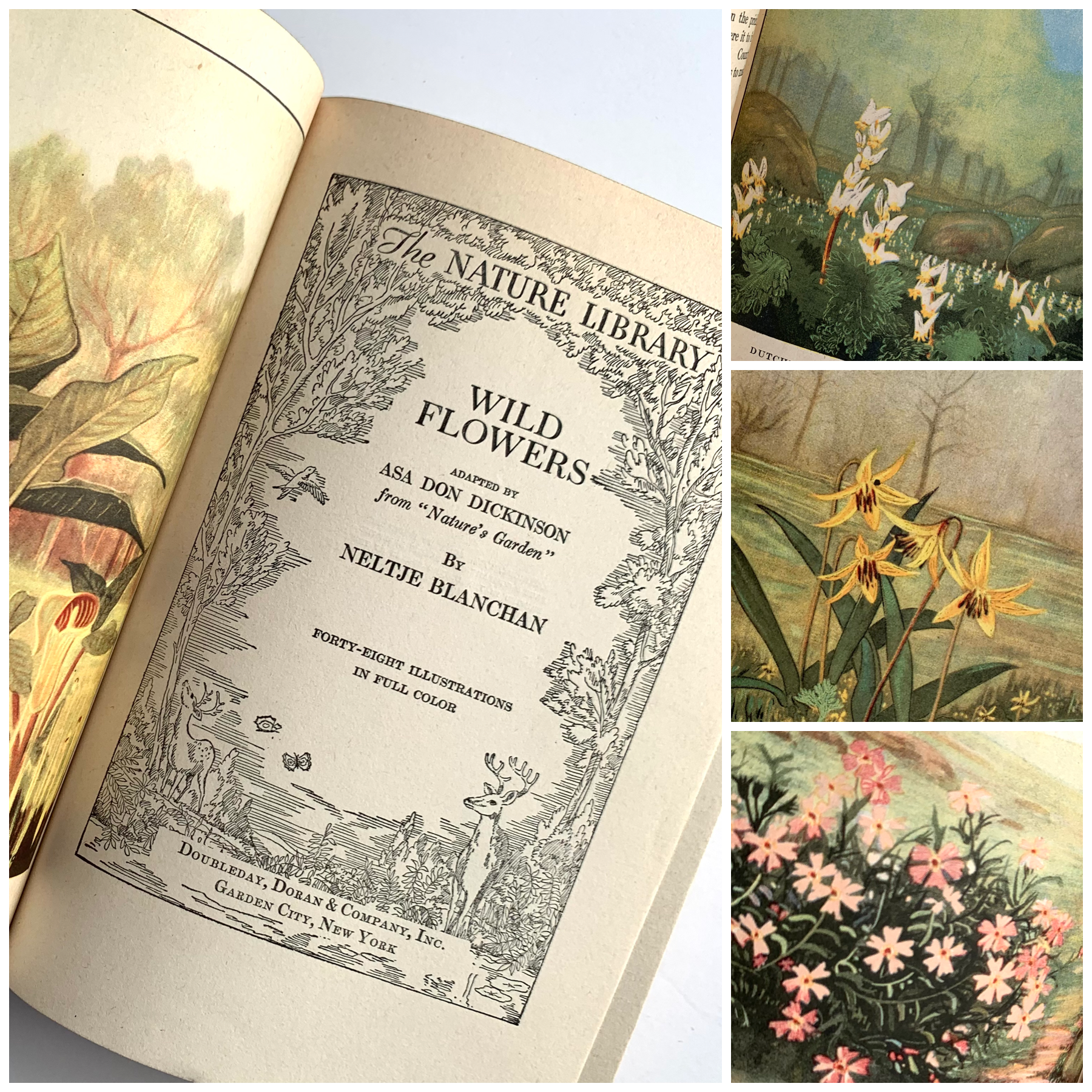 1926 - The Nature Library; Birds, Wild Flowers, Animals