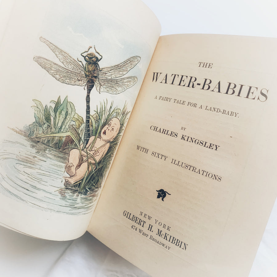 1900 - Kingsley’s The Water-Babies, A fairy Tale For A Land-Baby