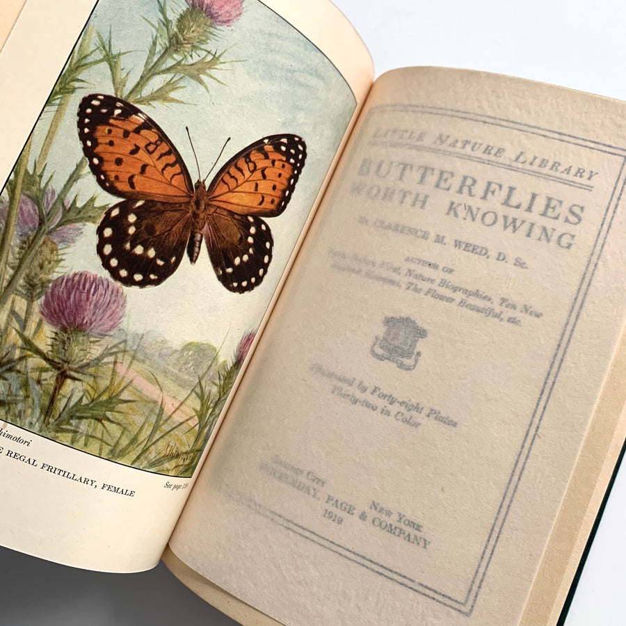 The Nature Library Set; Butterflies, Wild Flowers, Birds, & Trees