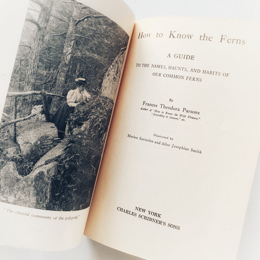 1929 - How To Know The Ferns