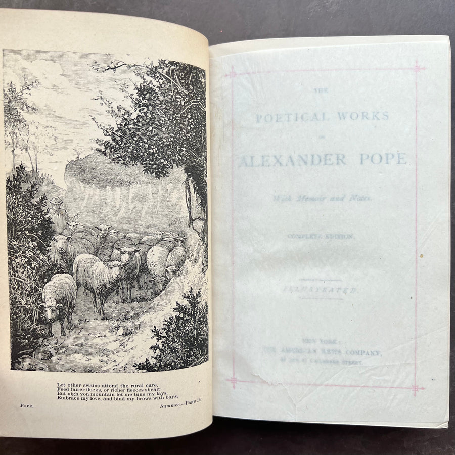 c.1880s - The Poetical Works of Alexander Pope, With Memoir and Notes