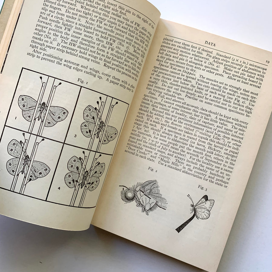 1951 - A Field Guide to the Butterflies