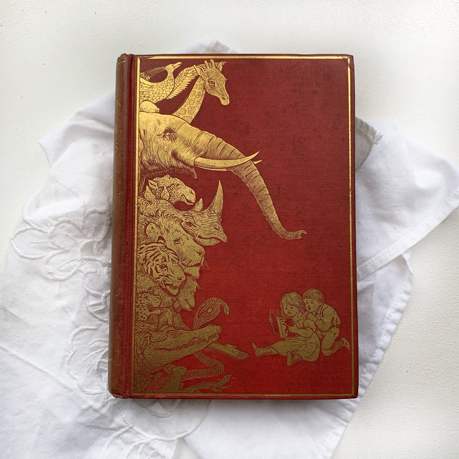 1899 - Andrew Lang’s, The Red Book of Animal Stories, First Edition