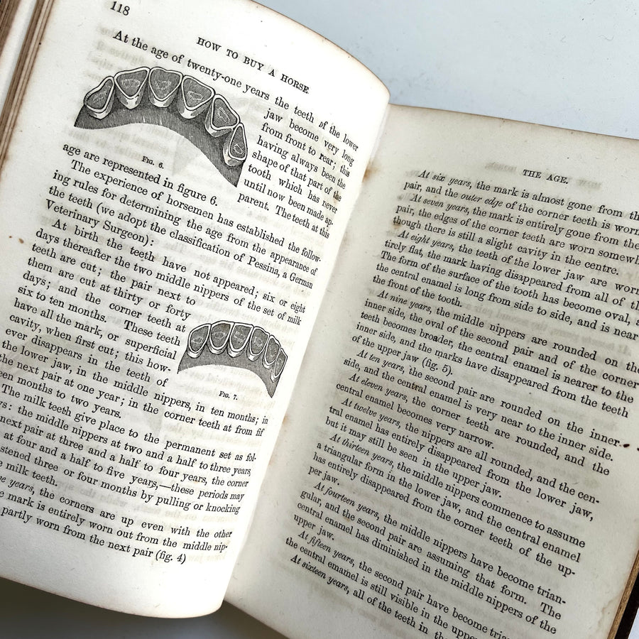 1865 - Hints to Horse-keepers, A complete Manual For Horsemen