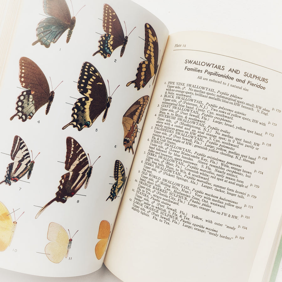 1958 - A Field Guide To The Butterflies
