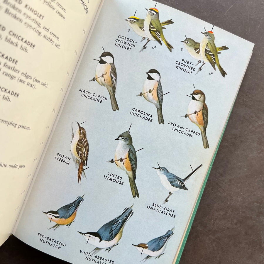 1947 - A Field Guide To The Birds