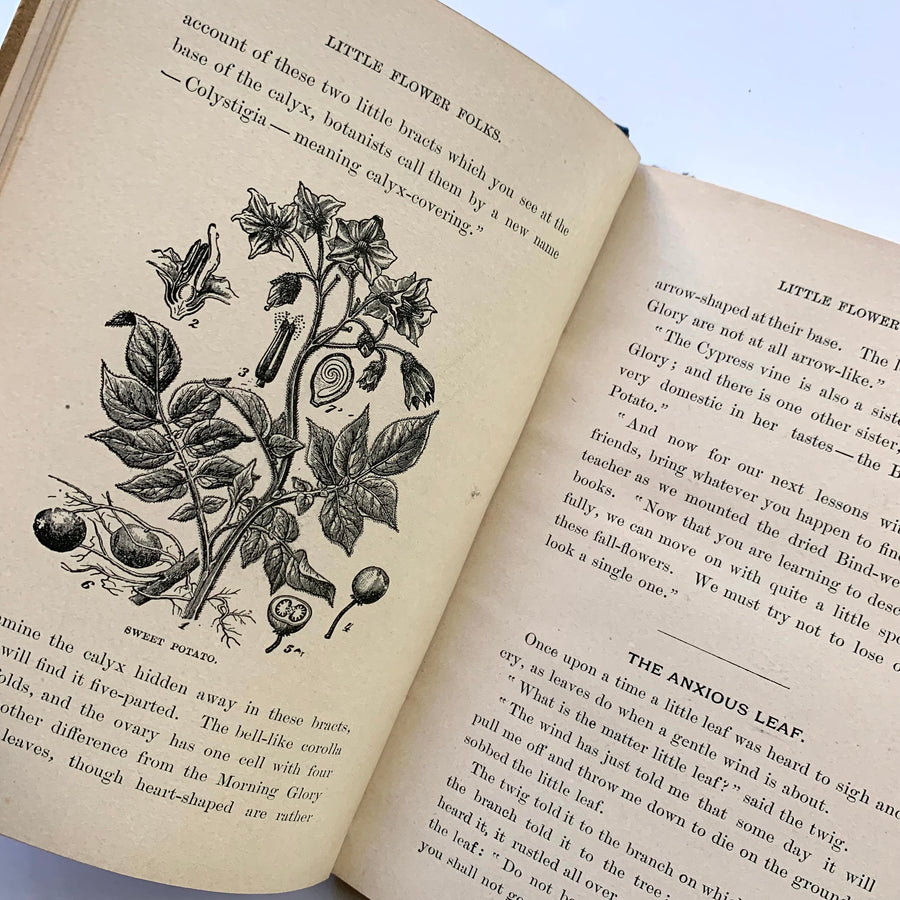 1891 - Little Flower Folks or Stories From Flowerland For the Home and School