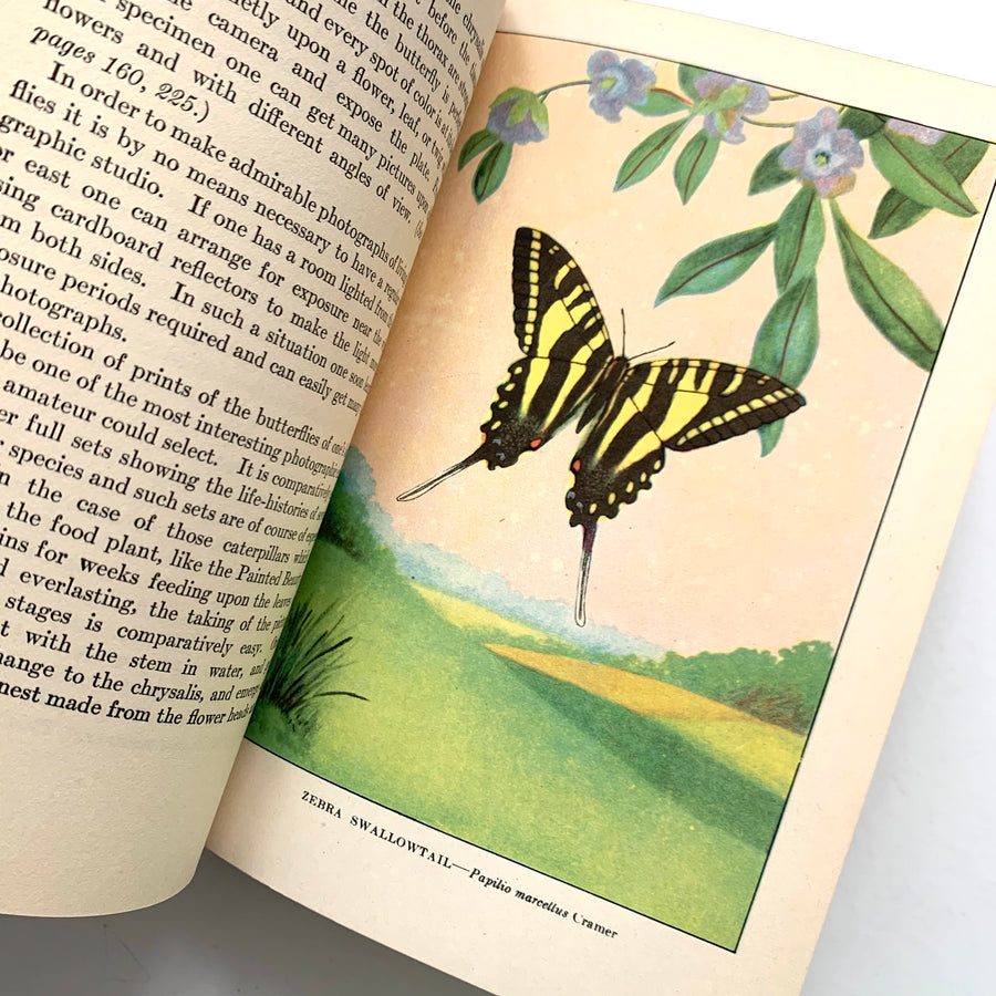 1926 - The Nature Library; Garden Flowers, Butterflies, Wild Flowers, Trees, Birds, and Animals