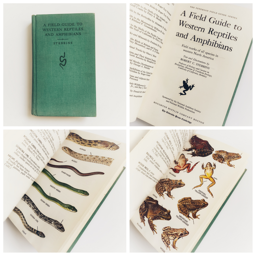 Vintage Field Guides, Sold Individually