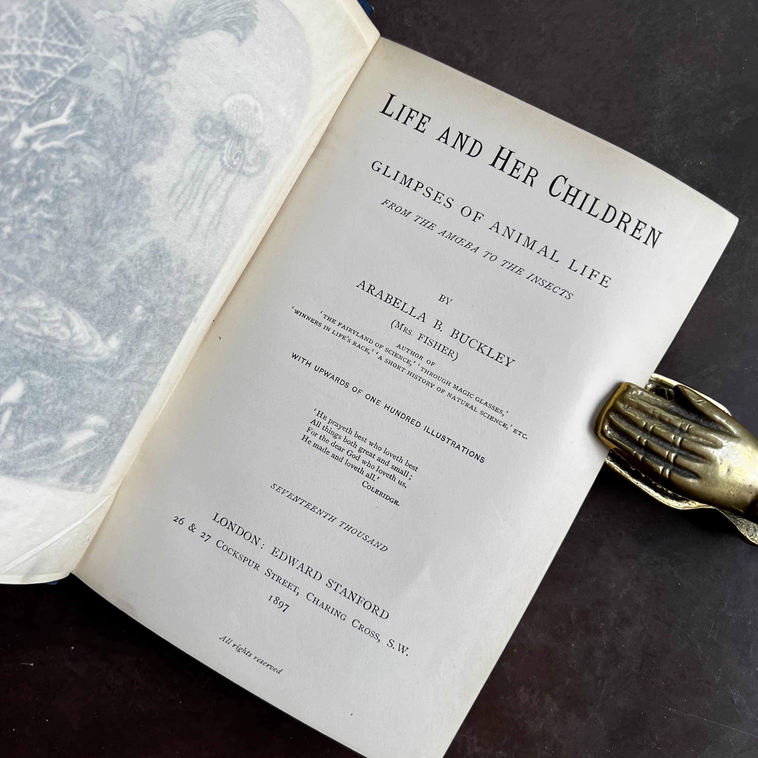 1897 - Life and Her Children; Glimpses of Animal Life From the