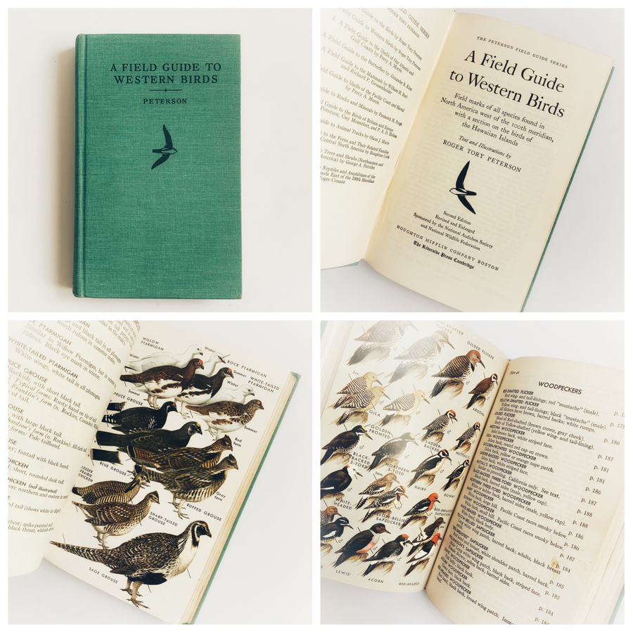 Vintage Field Guides, Sold Individually – Honey Bee Mill