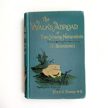 c.1888 - The Walks Abroad of Two Young Naturalists