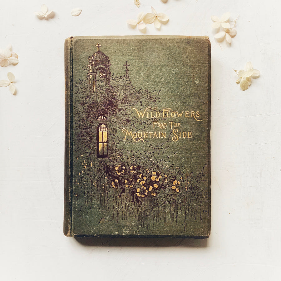 1885 - Wild Flowers From The Mountain-Side, Poems and Dramas