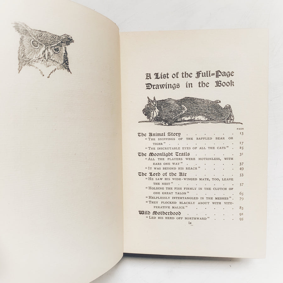 1905 - The Kindred of the Wild, A Book of Animal Life