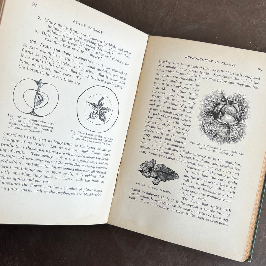 1912 - Elementary Plant Biology