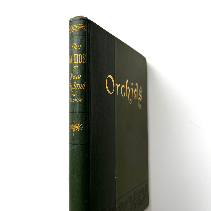 1894 - The Orchids of New England, First Edition