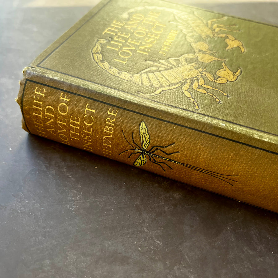 1911 - The Life and The Love Of The Insect