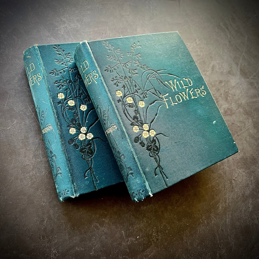 1893 - Wild Flowers