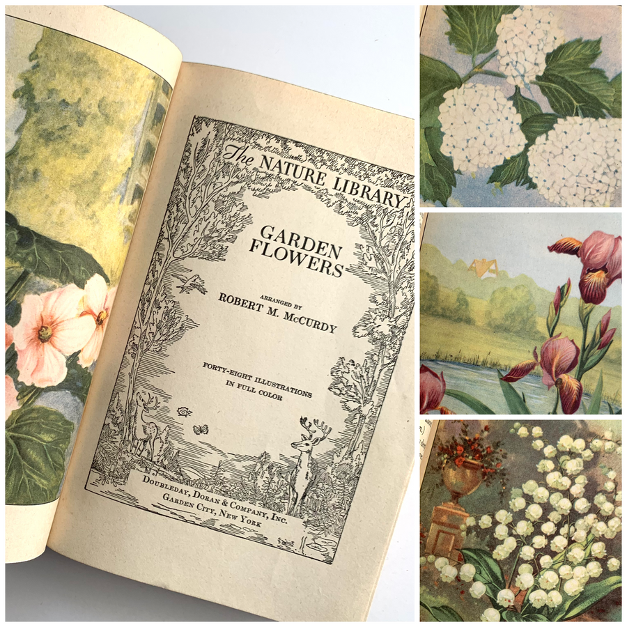 1926 - The Nature Library; Birds, Wild Flowers, Animals, Butterflies, Garden Flowers, & Trees