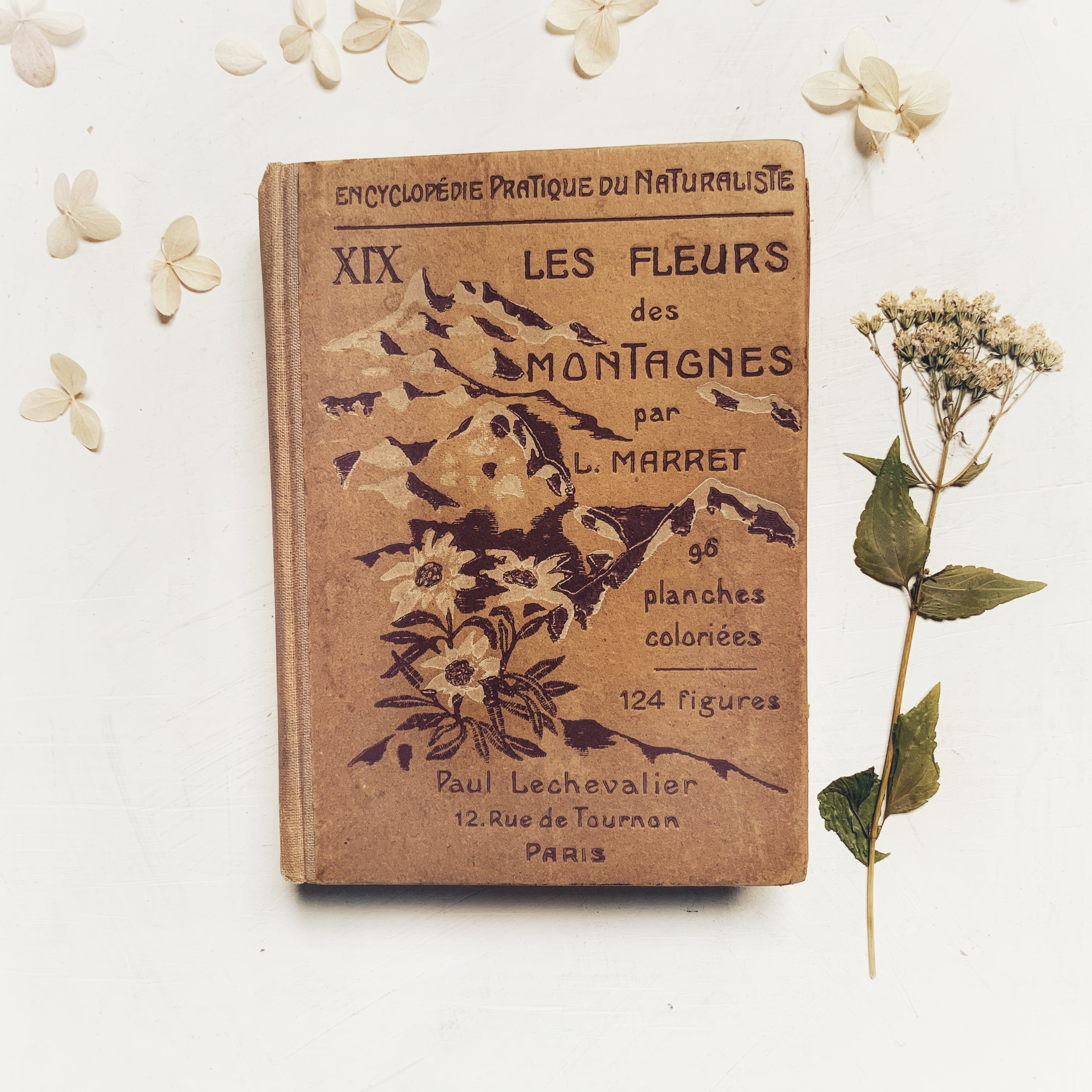 1924 - Les Fleurs Des Montagnes, First Edition – Honey Bee Mill