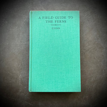 1963 - A Field Guide To The Ferns