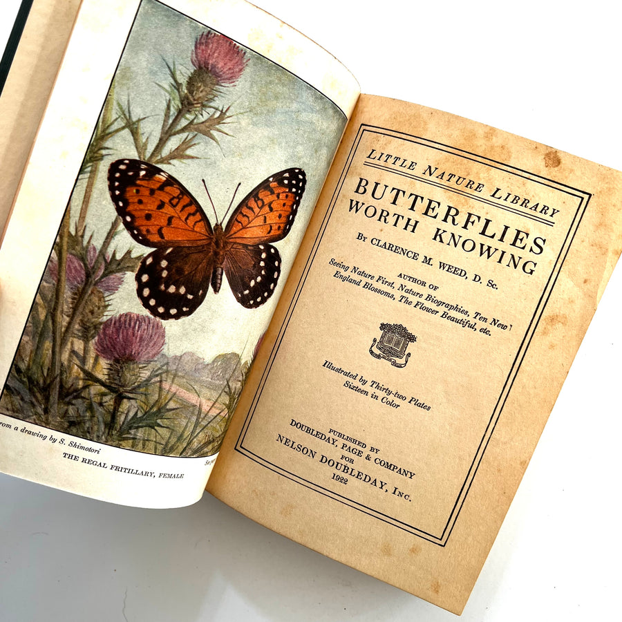 1922 - Little Nature Library; Butterflies