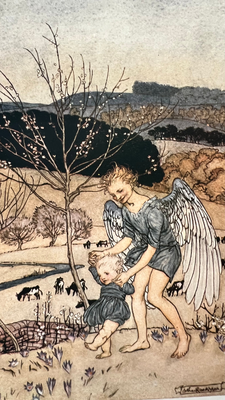 Arthur Rackham Bees 1918 - Arthur Rackham illustrated- The Springtide of Life; Poems of Ch ...