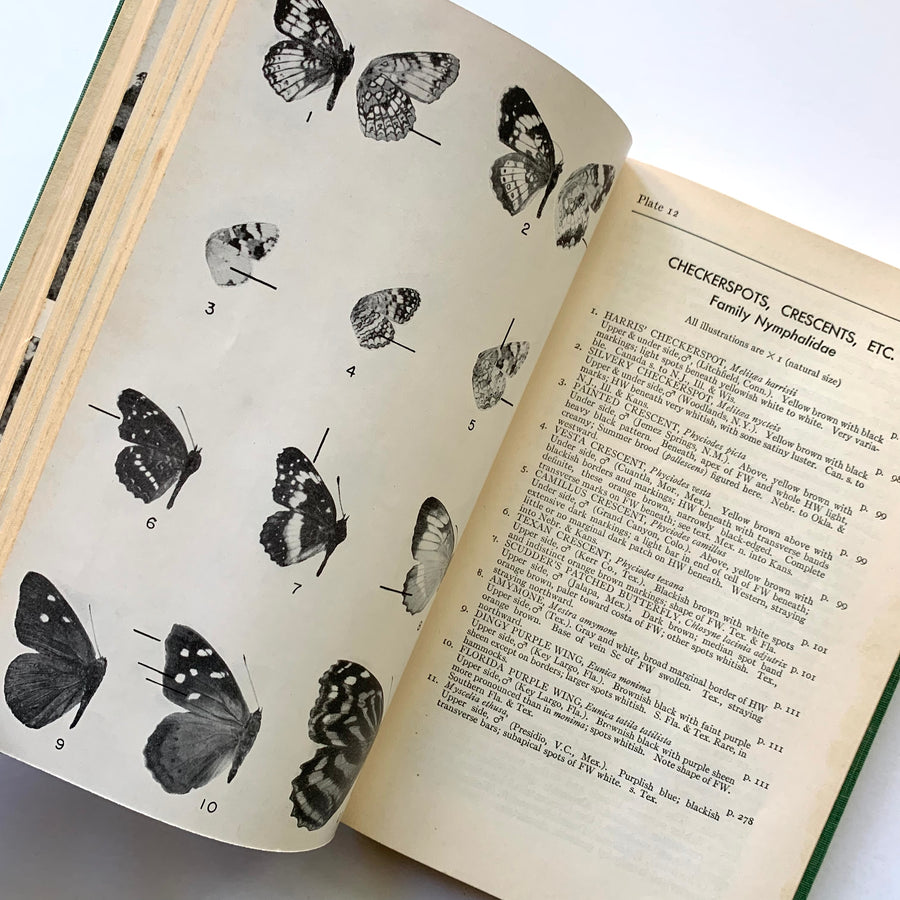 1951 - A Field Guide to the Butterflies