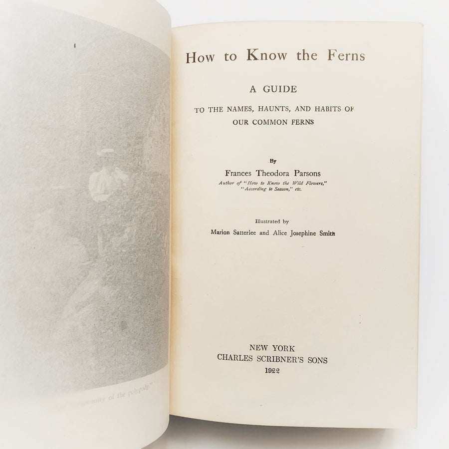 1922 - How To Know The Ferns