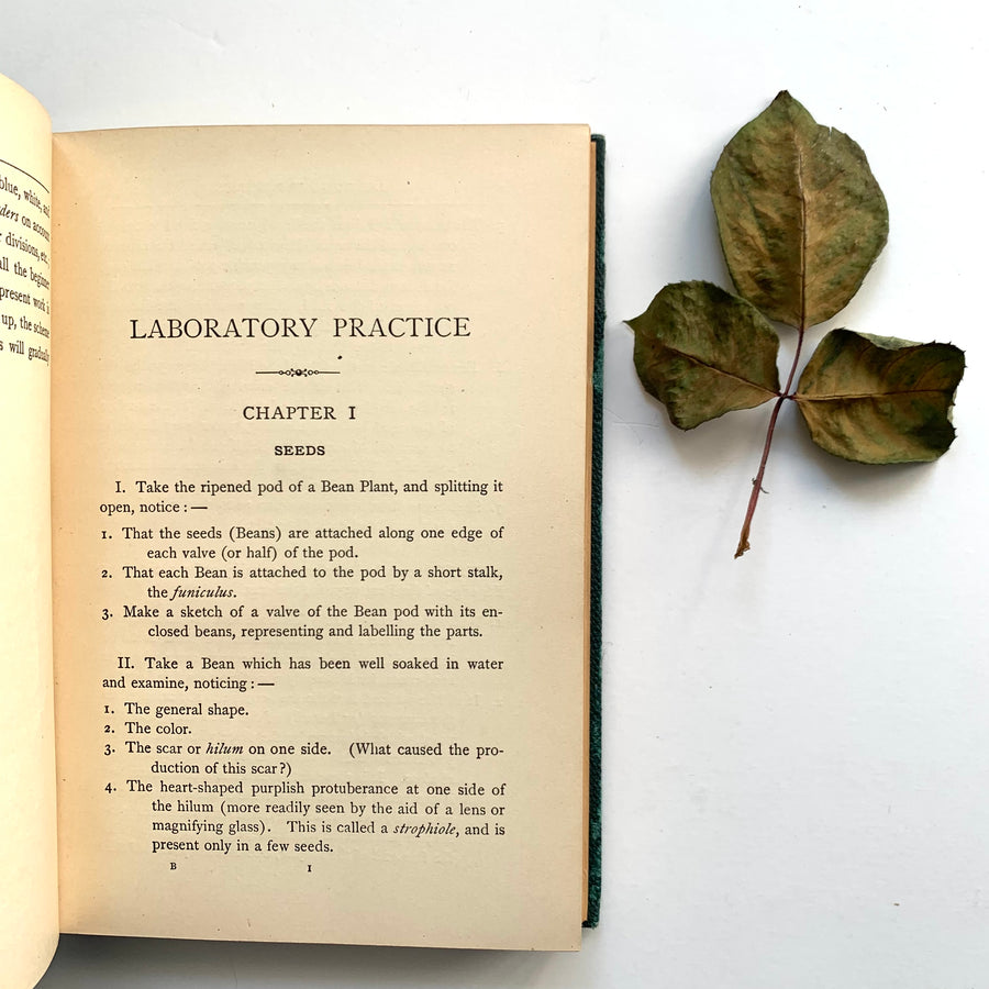 1902 - Laboratory For Beginners In Botany