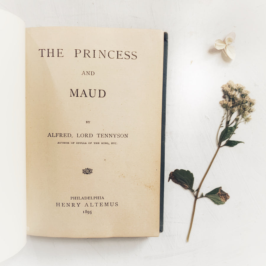 1895 - The Princess and Maud