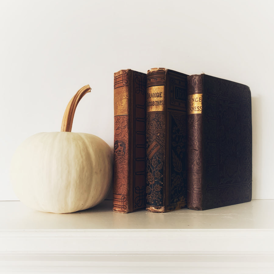 Fall Decorative Antique Book Set